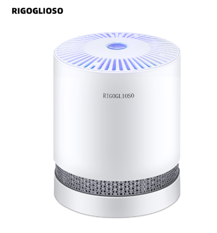 RIGOGLIOSO Air Purifier For Home True HEPA Filters Compact Desktop Purifiers Filtration wit